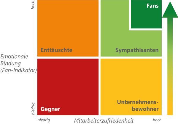 fan-portfolio-mitarbeiter-01-2019